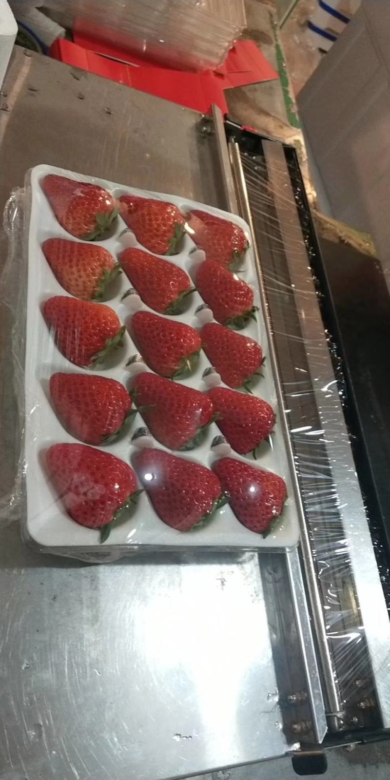 辽宁丹东九九草莓，微商，商超，市场，烘焙，代办代包装