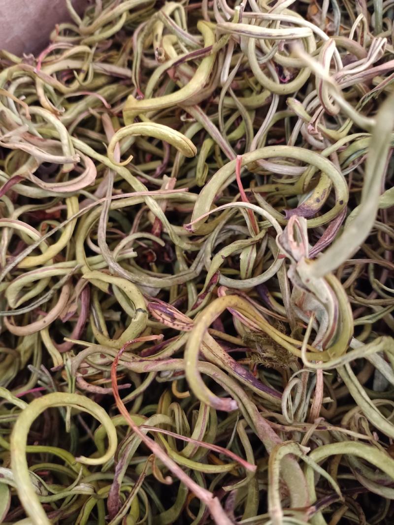 化石草，小中大叶化石草正品新货，颜色好无硫质量保证