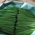 紫豆九粒红四季豆小金豆无筋豆扁豆