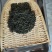 2020年青岛特产黄岛海青绿茶赛崂山清香型口粮茶500克