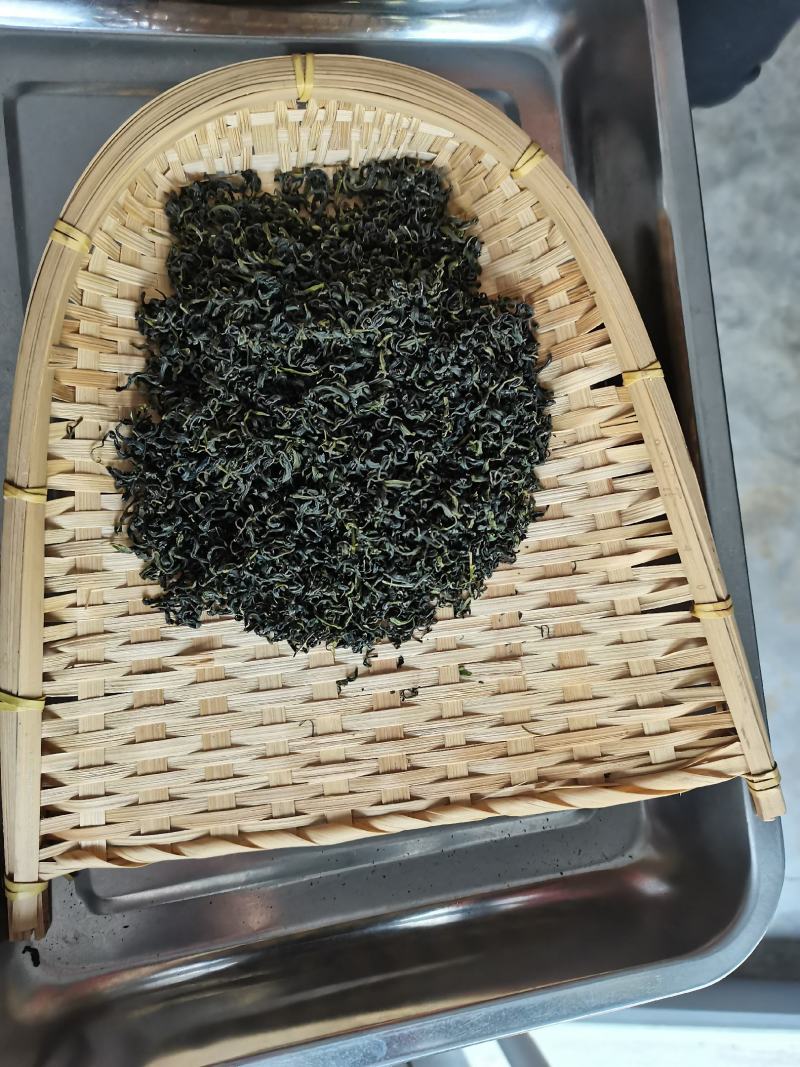 2020年青岛特产黄岛海青绿茶赛崂山清香型口粮茶500克