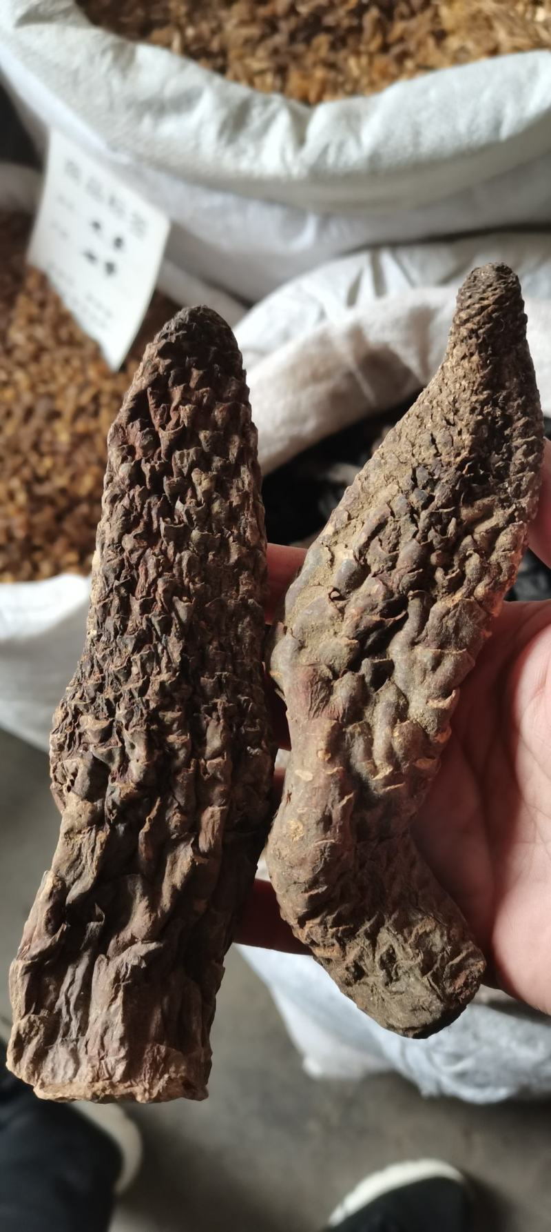 【牛商推荐】肉苁蓉大云大芸肉苁蓉一公斤起批