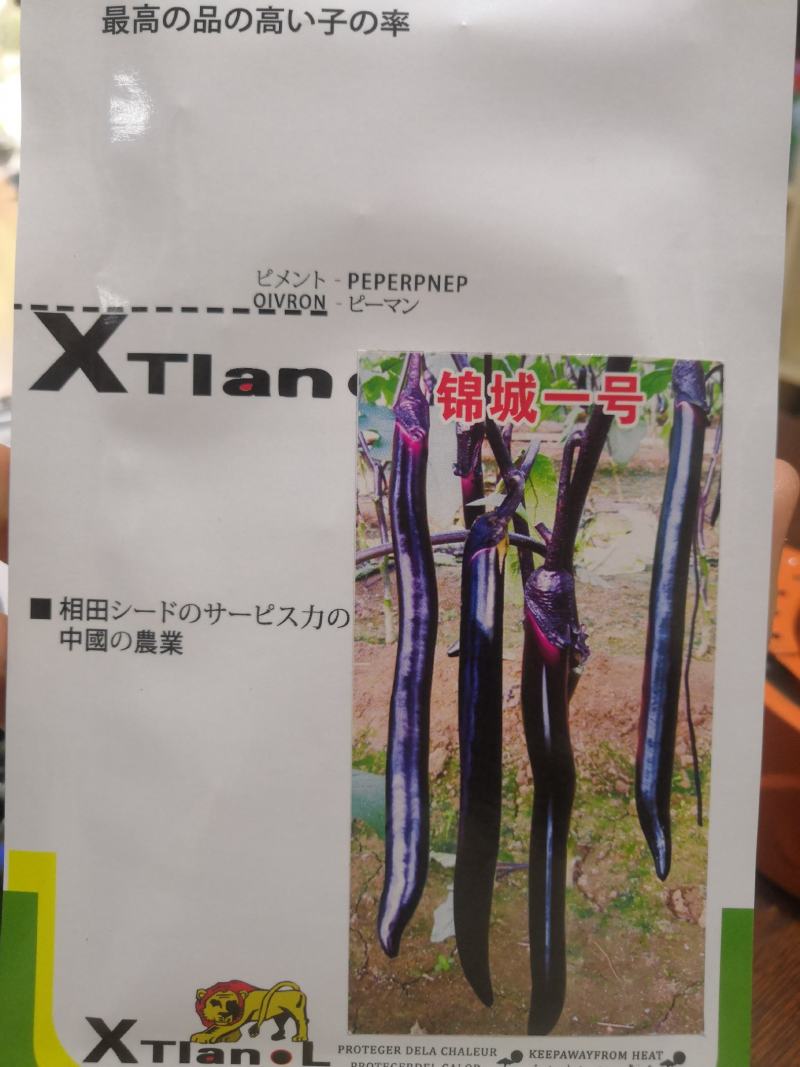 【优选】茄子种子日本锦城一号黑亮细长棒型长茄种子