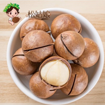 【包邮包赔】新货夏威夷果奶油味大颗粒，送开口器！