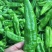 301辣椒！螺丝椒，产地直供！保质保量，精品包装！欢迎订