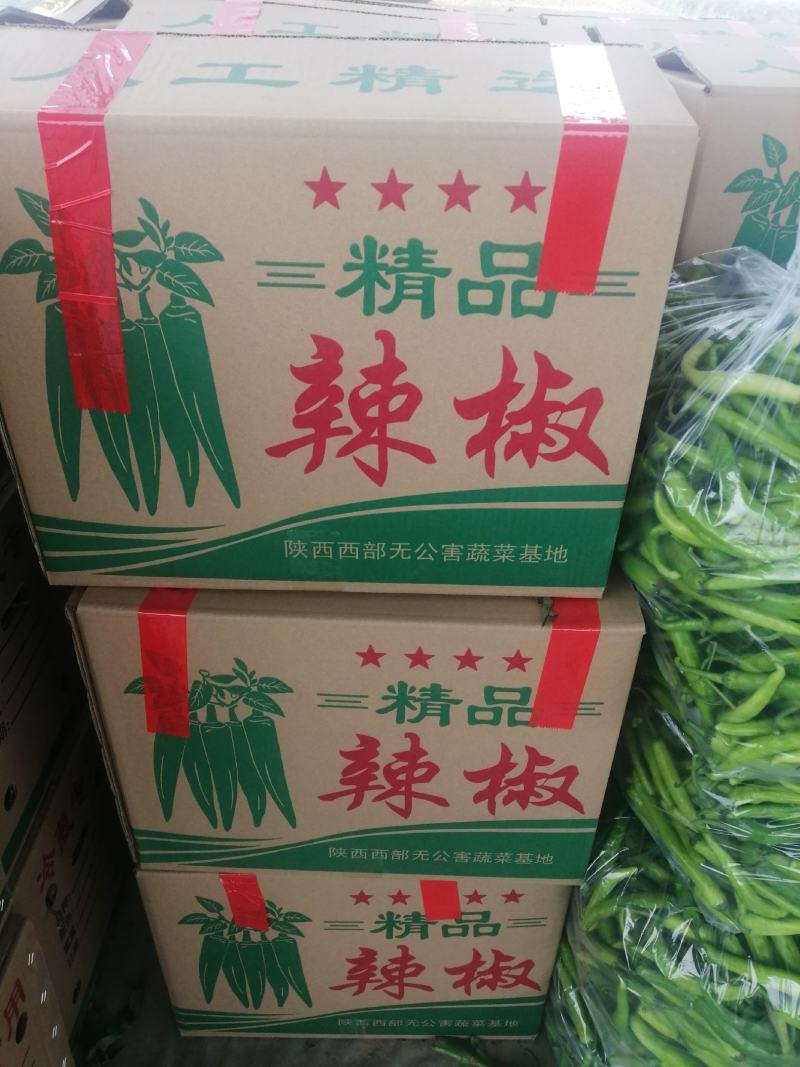 301辣椒！螺丝椒，产地直供！保质保量，精品包装！欢迎订