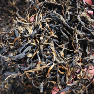 凤庆滇红茶红茶茶叶茶古树红茶厂家直销包邮