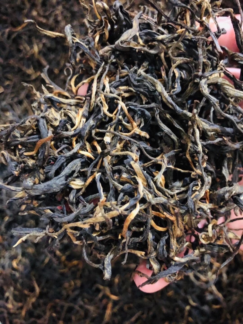 凤庆滇红茶红茶茶叶茶古树红茶厂家直销包邮