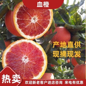 四川资中塔罗科血橙#皮薄汁多入口化渣，对接电商批发档口