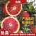 四川资中塔罗科血橙#皮薄汁多入口化渣，对接电商批发档口