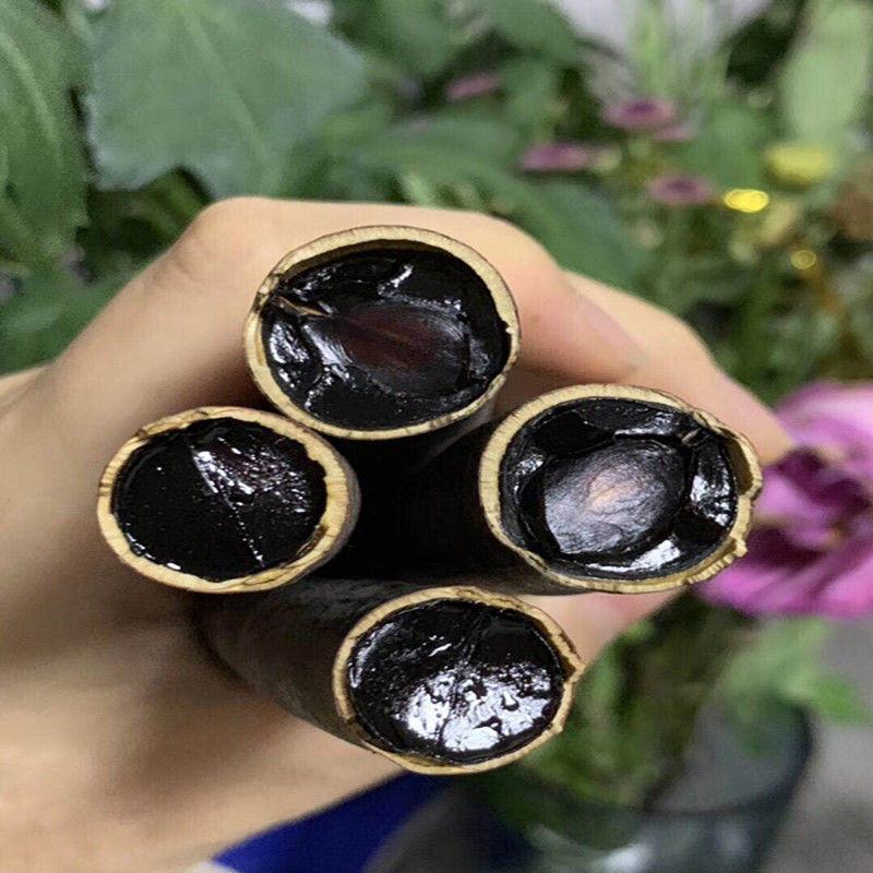 腊肠果，产地直供道地药材，药典标准支持线上交易保障