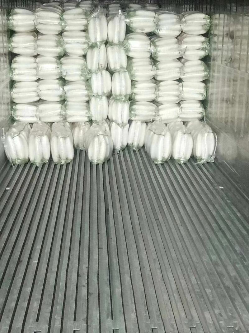 白萝卜1.0~1.8斤精品白萝卜万亩产地直发加工厂货