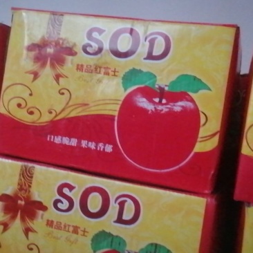 冰糖心苹果口感脆甜。质量好：无坏果片红，欢迎各地客商联系