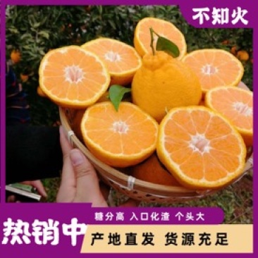四川丑八怪不知火，口感脆甜化渣大量对接市场电商，欢迎合作
