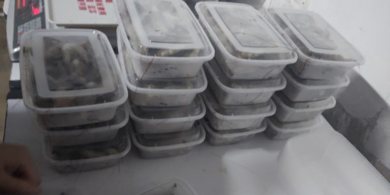 北海冻虾，35-40头，肉质鲜嫩，口感上佳，欢迎咨询