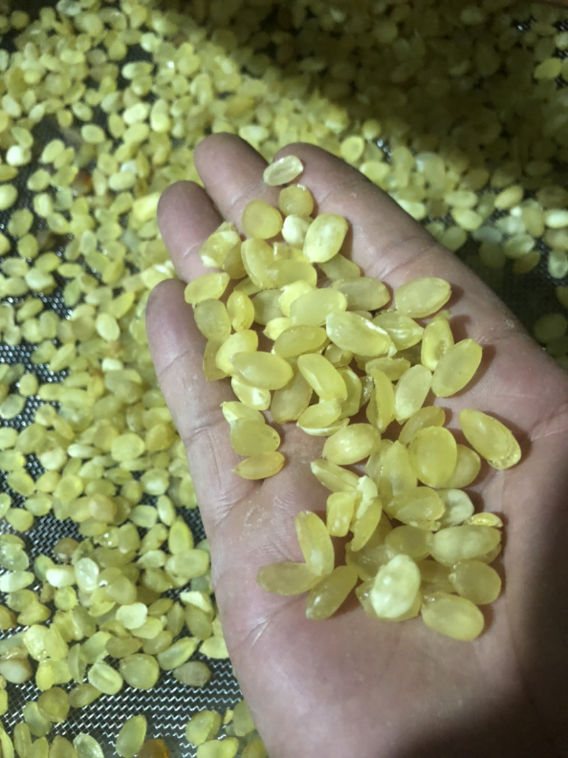 精品皂角米大双荚（雪莲子），