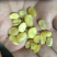 精品皂角米大双荚（雪莲子），
