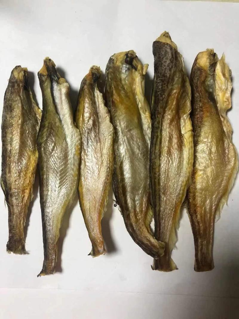深海小龙鱼、纯干美味佳品