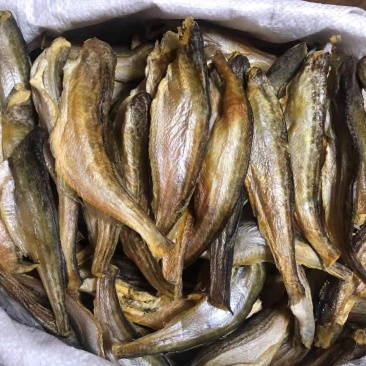 深海小龙鱼、纯干美味佳品