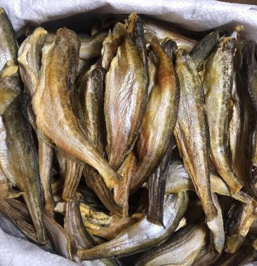 深海小龙鱼,纯干美味佳品