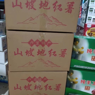 卢龙大田红薯！价低质优！量大优惠