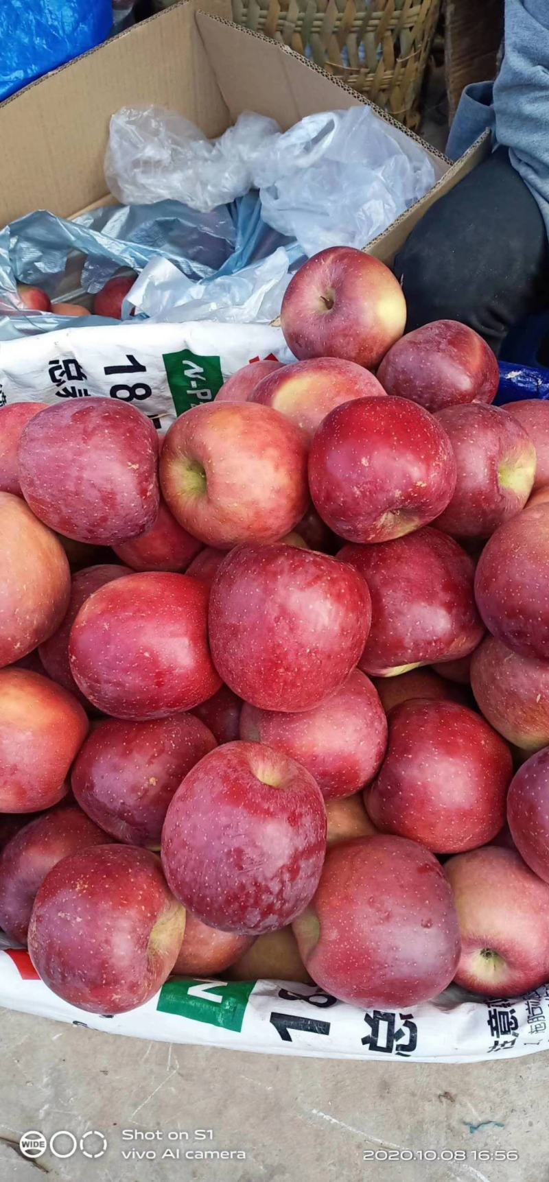 云南正宗冰糖心菠萝心蜂蜜味高海拔丑苹果