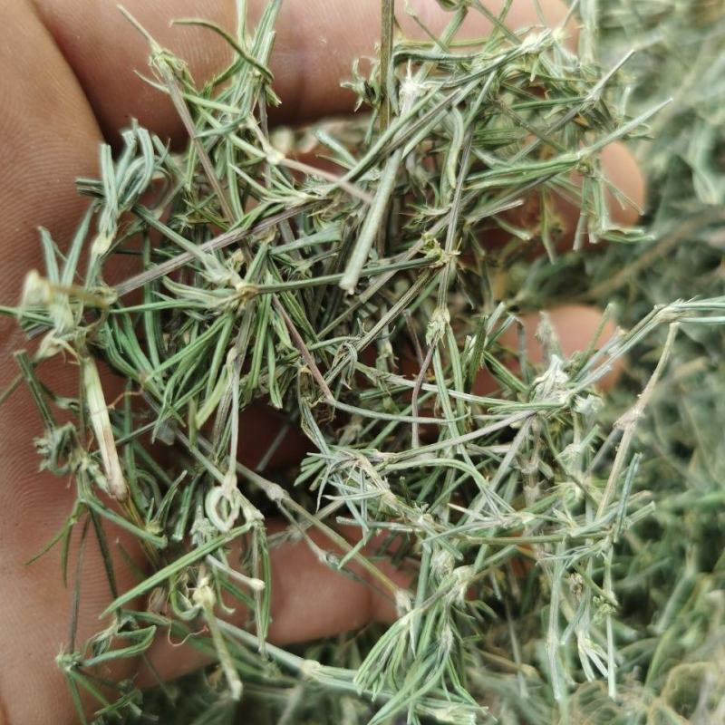 天然野生白花蛇舌草百花蛇舌草白花舌蛇草