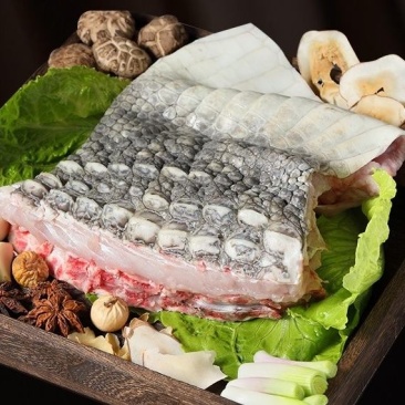 生鲜鳄鱼肉（养殖基地直供）