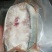 生鲜鳄鱼肉（养殖基地直供）