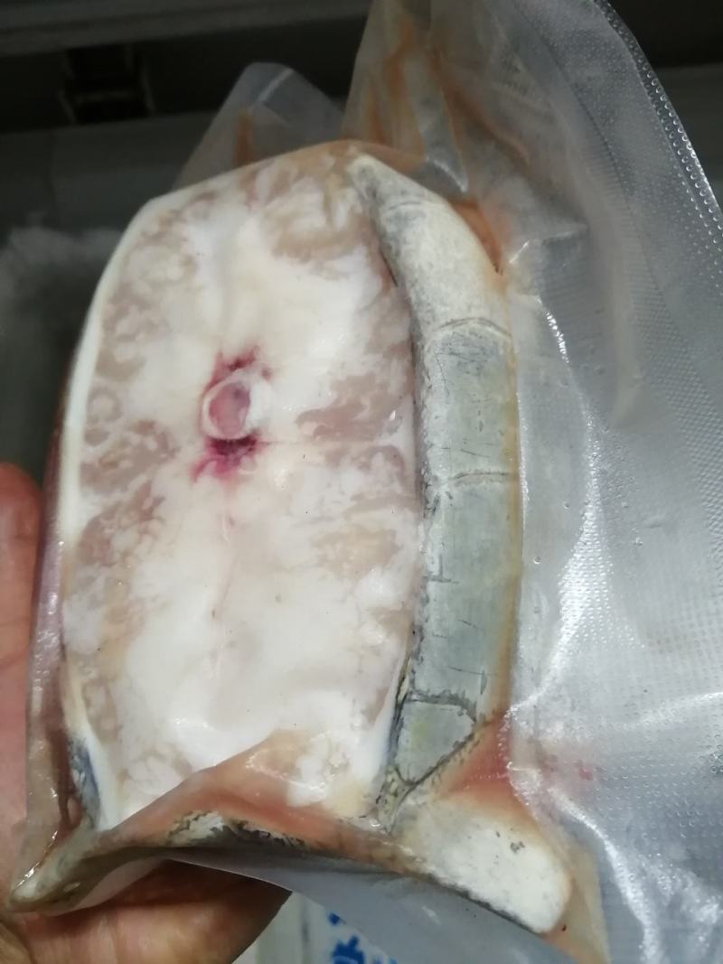 生鲜鳄鱼肉（养殖基地直供）