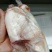 生鲜鳄鱼肉（养殖基地直供）