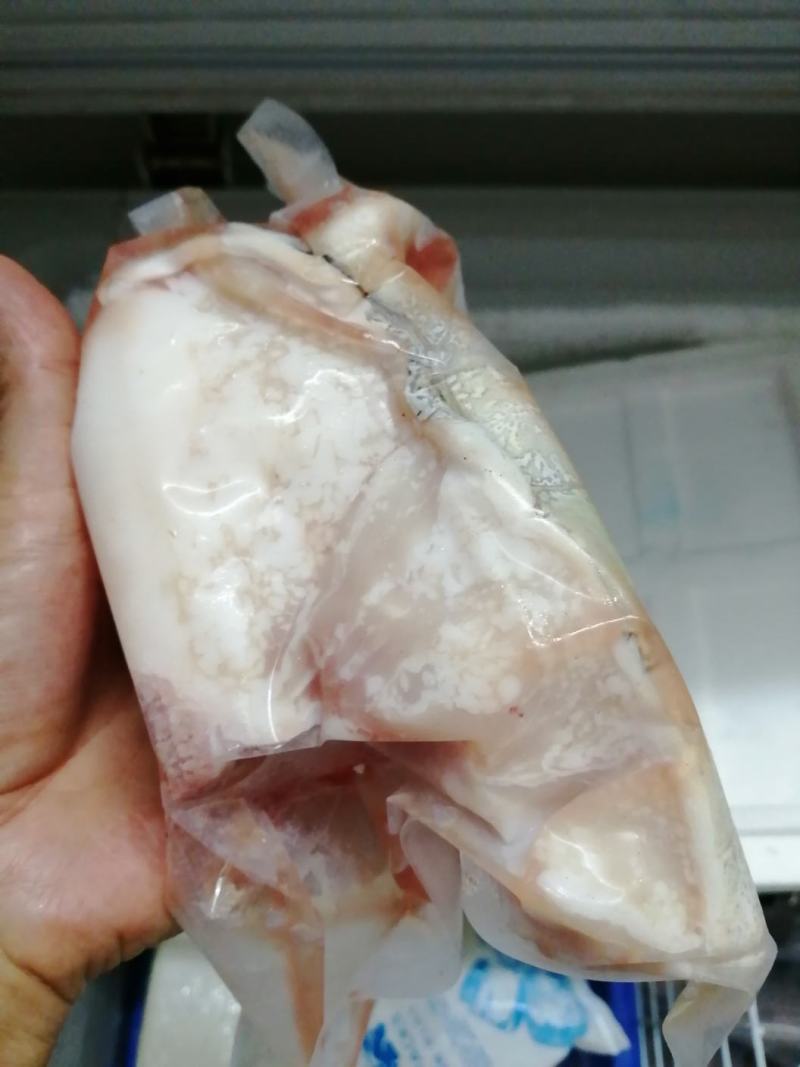 生鲜鳄鱼肉（养殖基地直供）