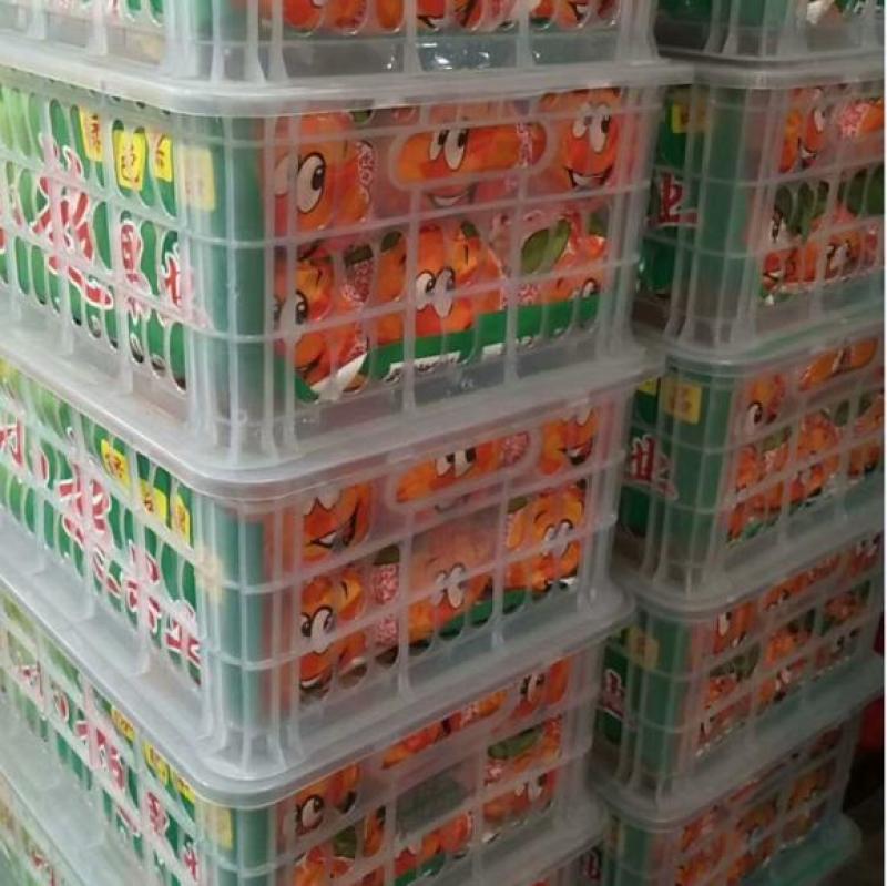 资中耙耙柑，对接市场电商团购商超，皮薄多汁