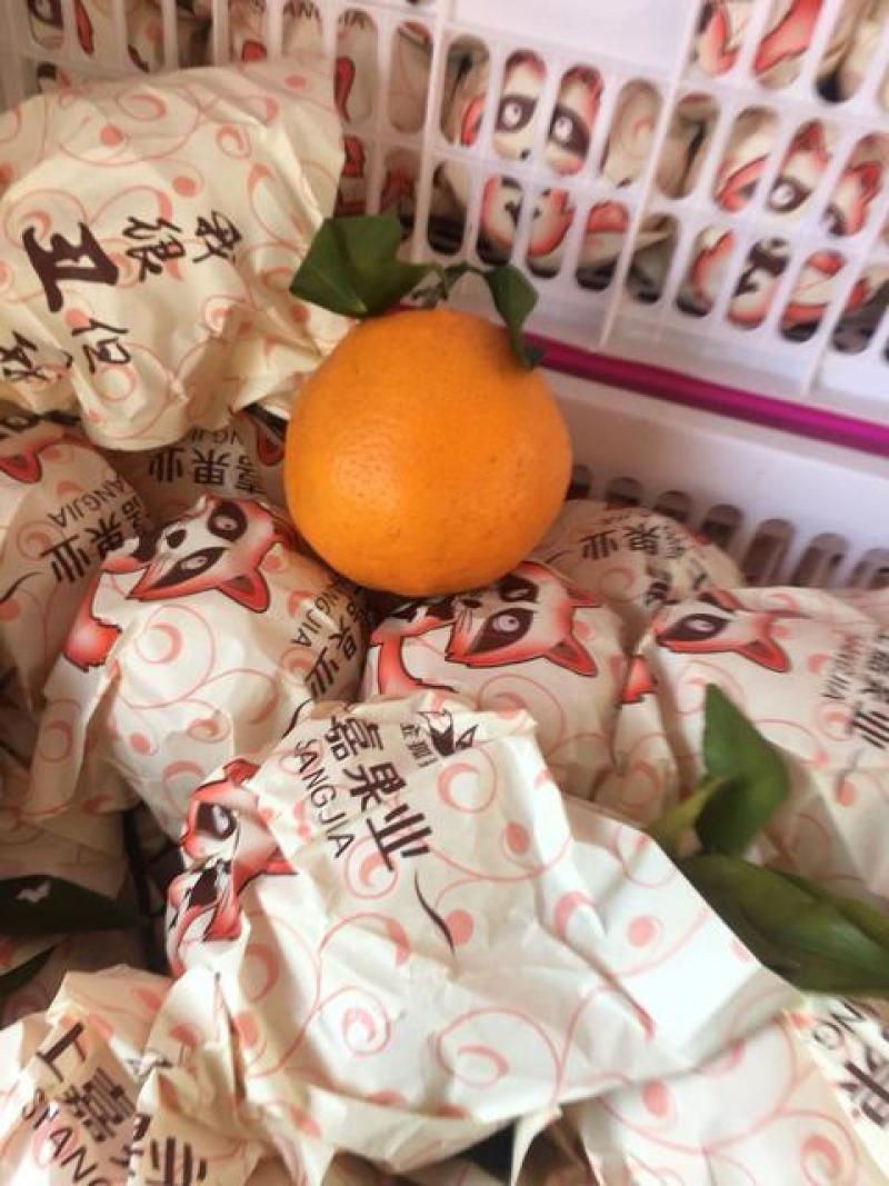 资中耙耙柑，对接市场电商团购商超，皮薄多汁