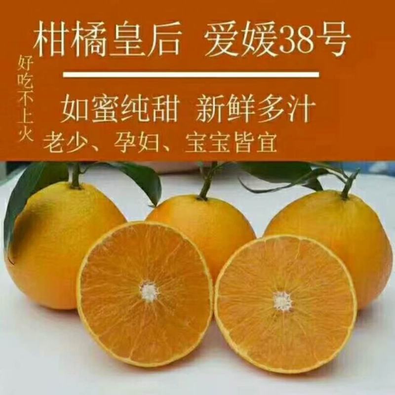 四川爱媛38号果冻橙手剥橙9斤整箱一件代发
