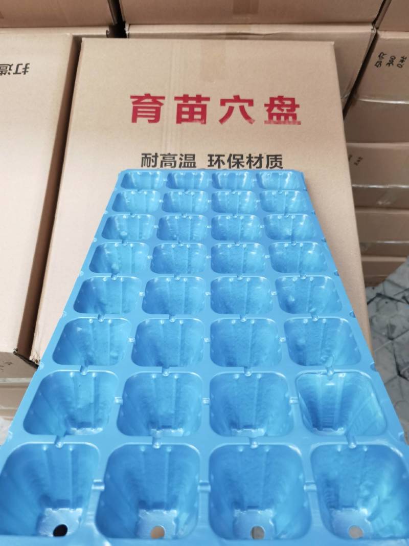 加深21孔，32孔，50草莓专用育苗穴盘，