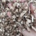 石菖蒲无硫净货石菖蒲规格齐全产地直销可供大货