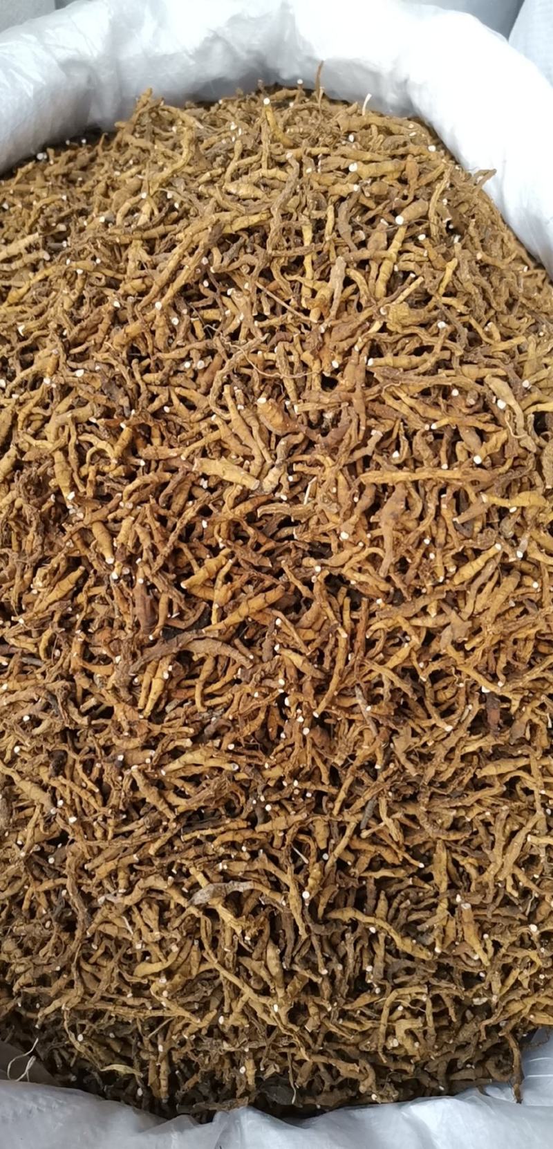 石菖蒲无硫净货石菖蒲规格齐全产地直销可供大货