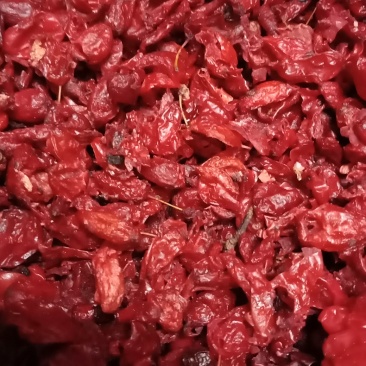 山茱萸（枣皮），色红肉厚