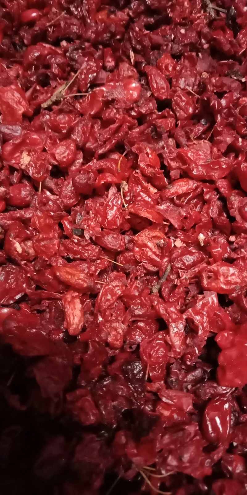 山茱萸（枣皮），色红肉厚