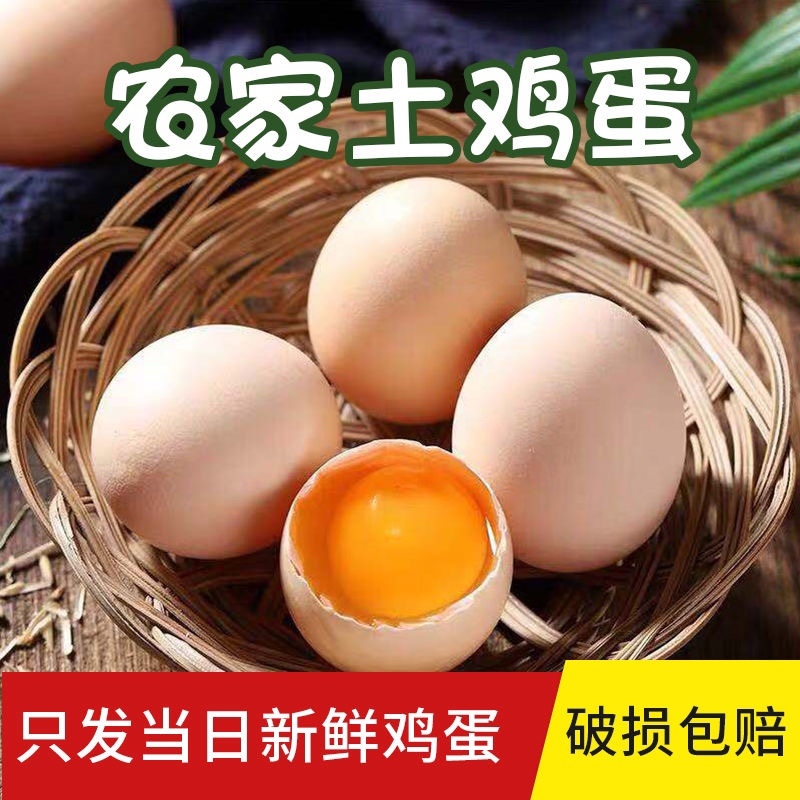 南阳土鸡蛋，粉八，红五，洋鸡蛋均有货，可走整车