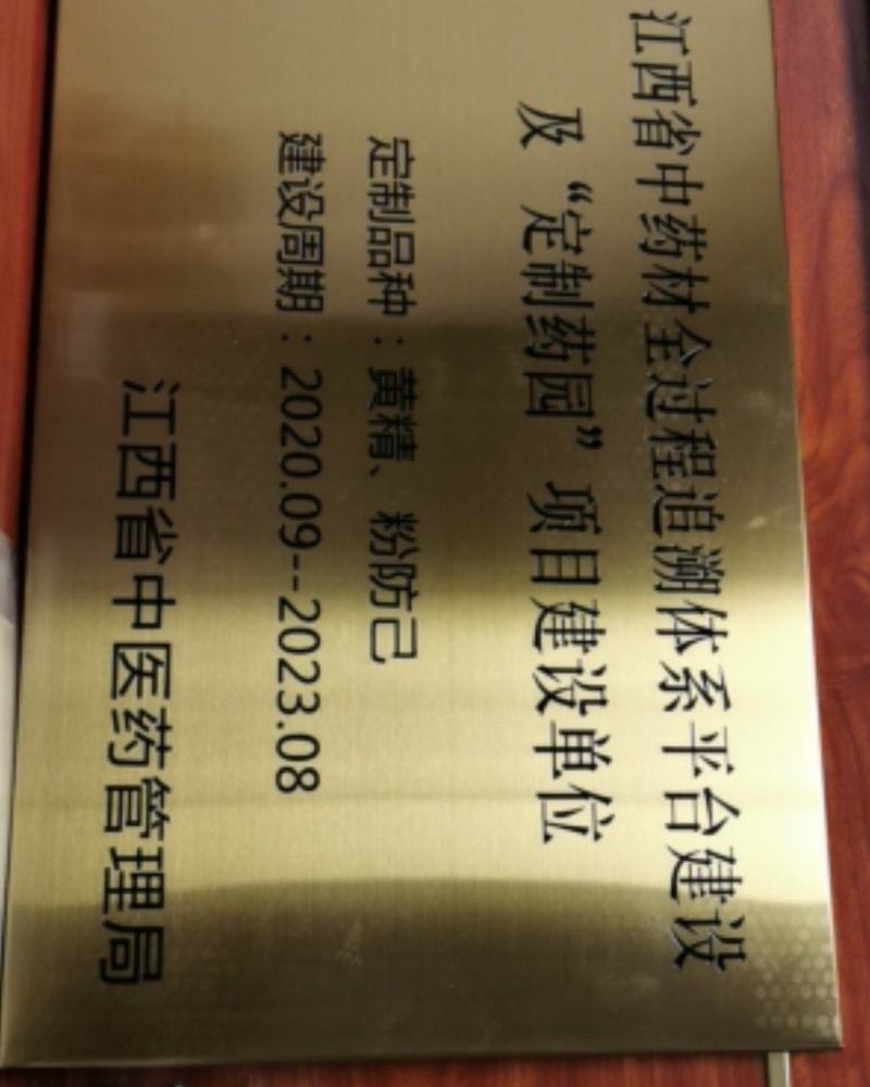 出售防己苗，正宗粉防己苗，金线吊乌龟苗