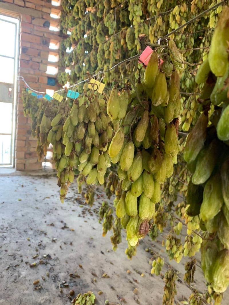 新疆吐鲁番无核白葡萄干