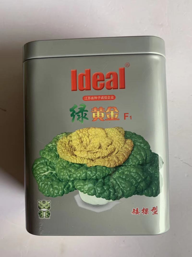 黄心乌菜种子矮脚棵耐寒能力强越冬蔬菜种子品种