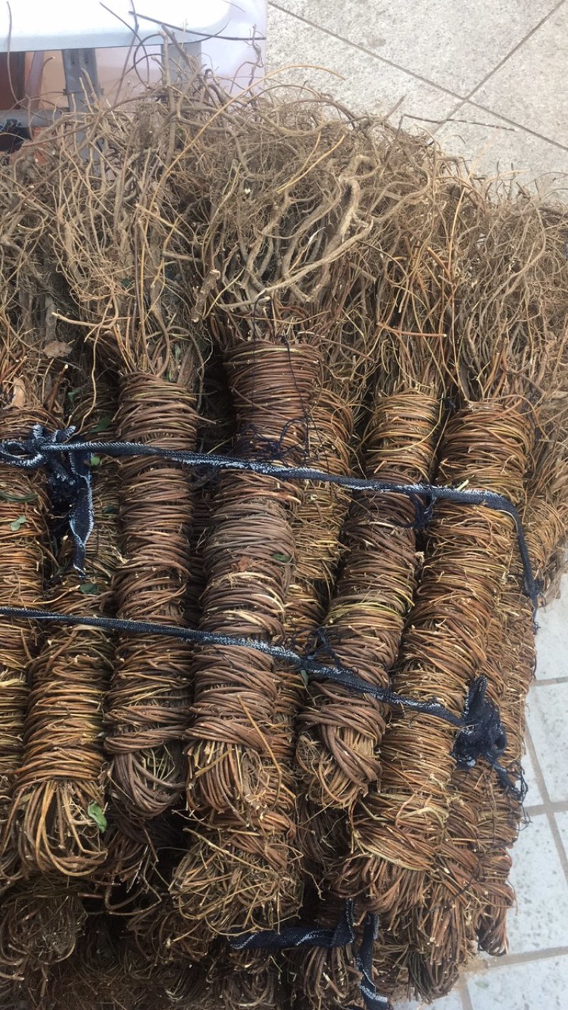 鸡骨草扎把齐手新货足干无硫量大包邮中药材批发