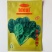 菠菜种子墨绿大叶菠菜种子四季蔬菜秋冬籽种阳台种籽