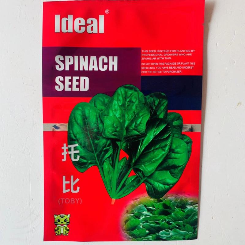 菠菜种子墨绿大叶菠菜种子四季蔬菜秋冬籽种阳台种籽