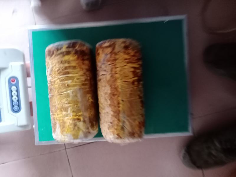 西峡县科达菌种厂桑黄菌包已有现货需要的联系，