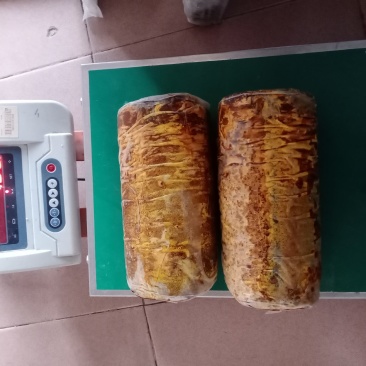 西峡县科达菌种厂桑黄菌包已有现货需要的联系，