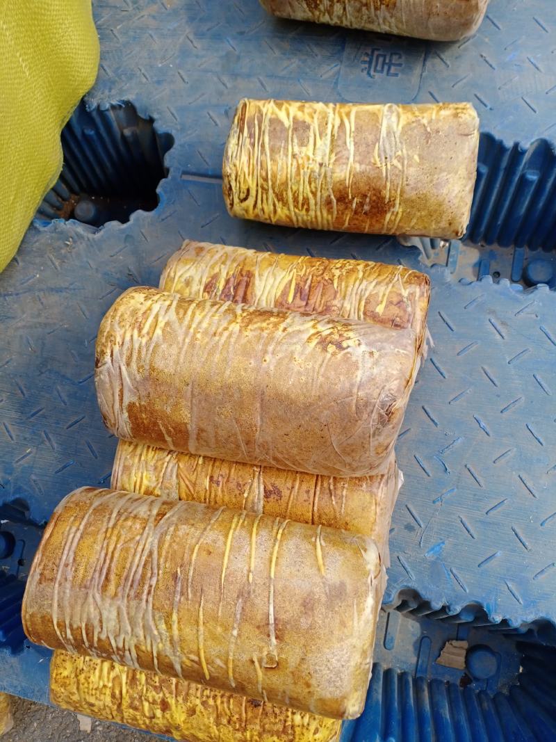 西峡县科达菌种厂桑黄菌包已有现货需要的联系，